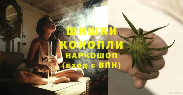 молекула духа Надым