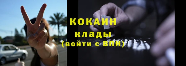 шишки Валдай