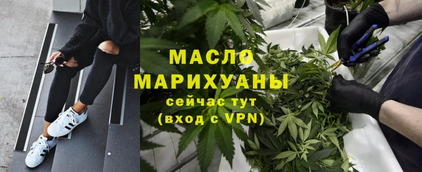 молекула духа Надым